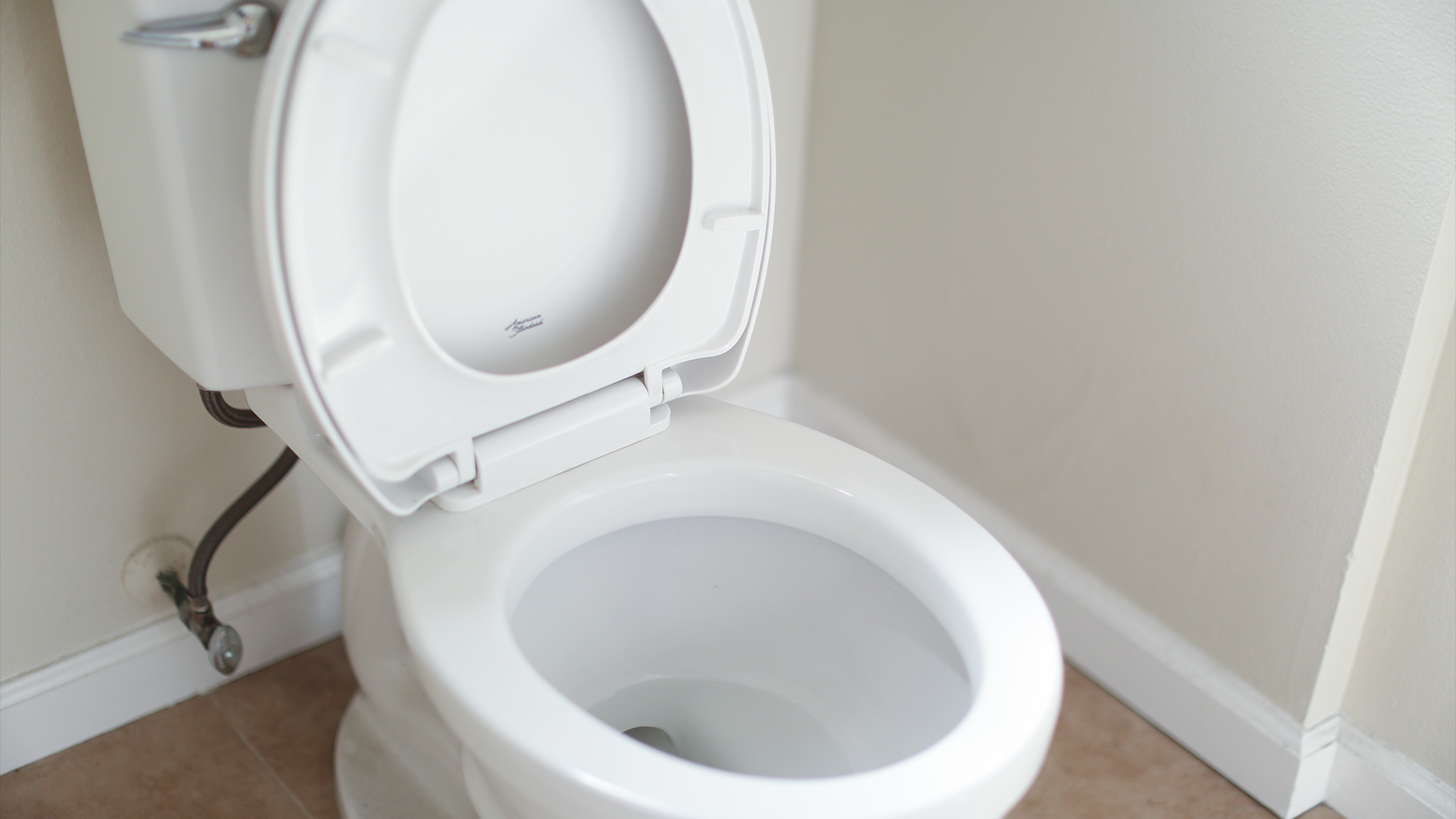 What To Do If You Flush Something Important Down The Toilet
