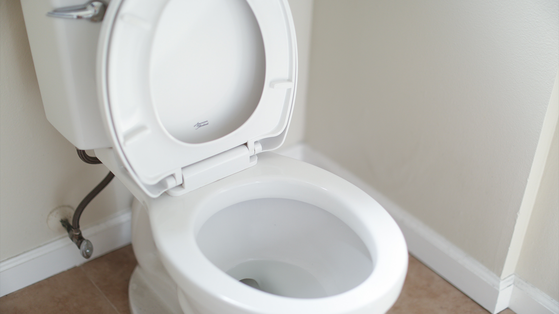 Can I Flush My Cat s Poop Down The Toilet