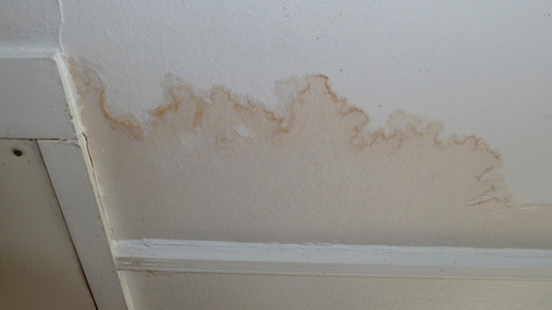 Water damage stain